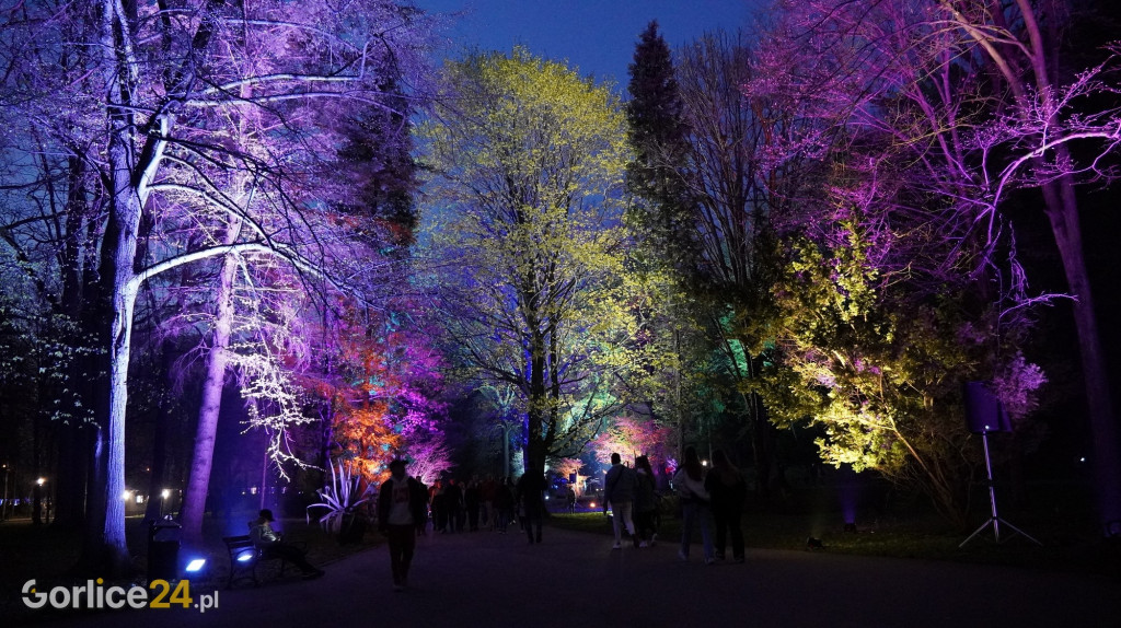 Festiwal Światła w Parku Miejskim - 02.05.2022