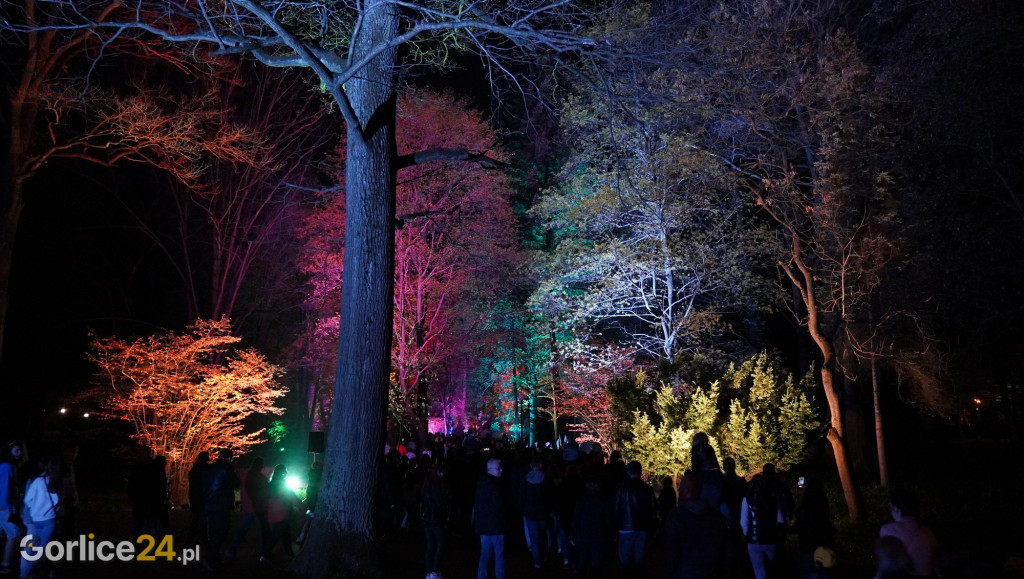 Festiwal Światła w Parku Miejskim - 02.05.2022