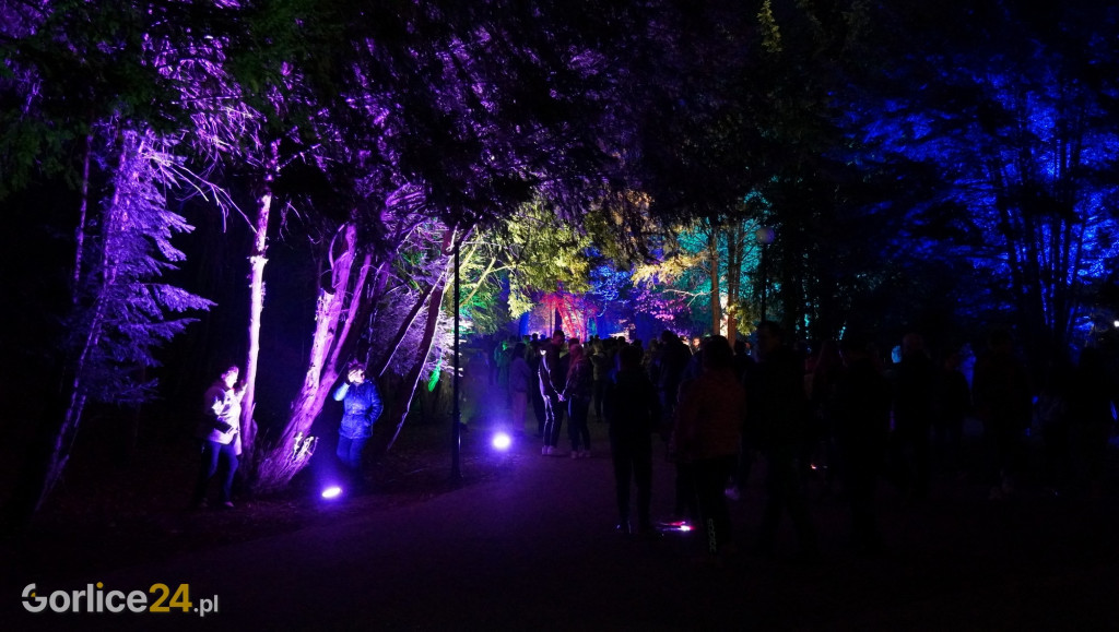 Festiwal Światła w Parku Miejskim - 02.05.2022