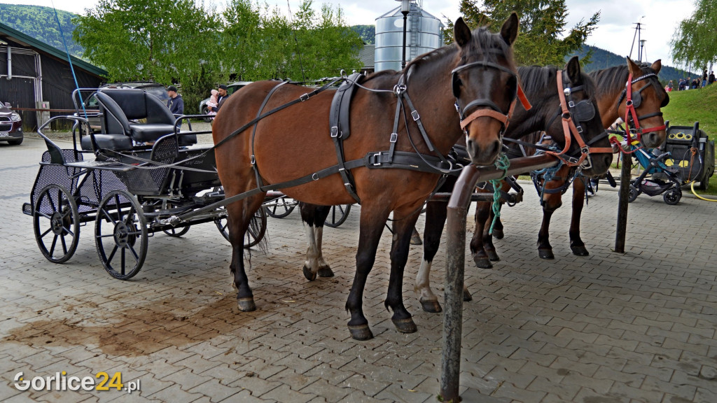 Majówka w Regietowie 2022