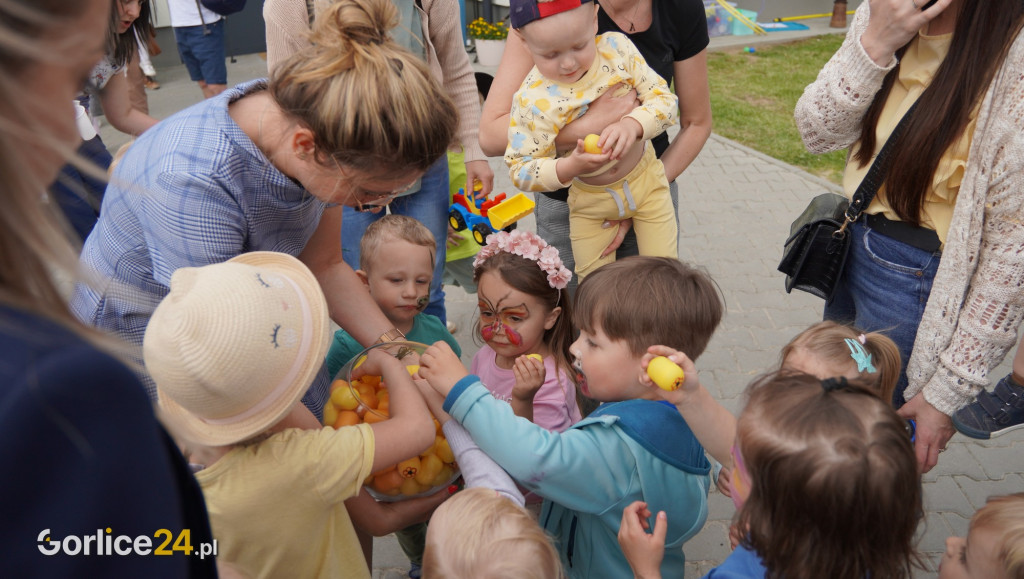 Piknik rodzinny w przedszkolu Dom Bajki