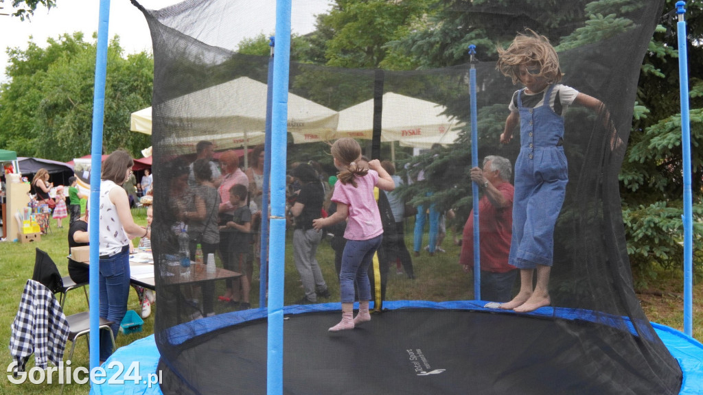 Piknik Rodzinny na Hallera 10.06.