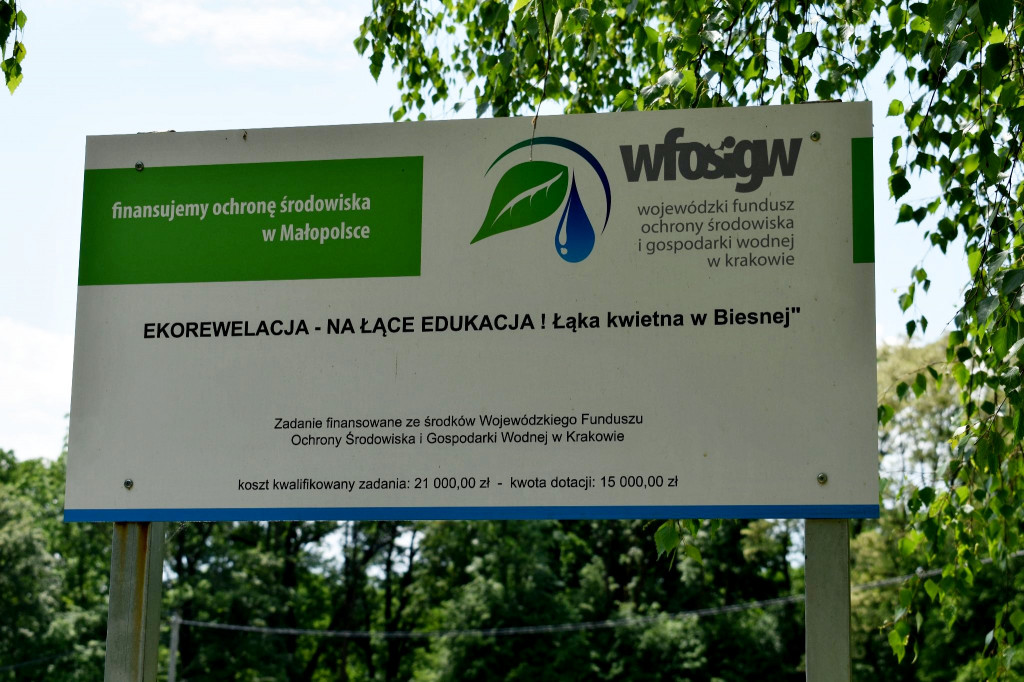 Ekołąka w Biesnej