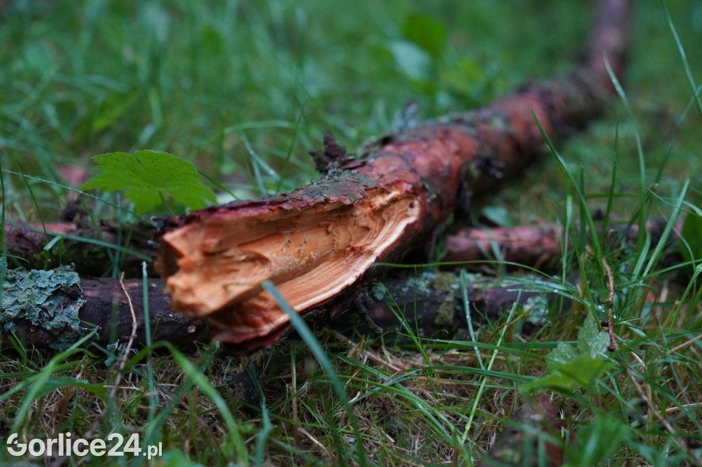 Wichura nad Gorlicami 16.06.