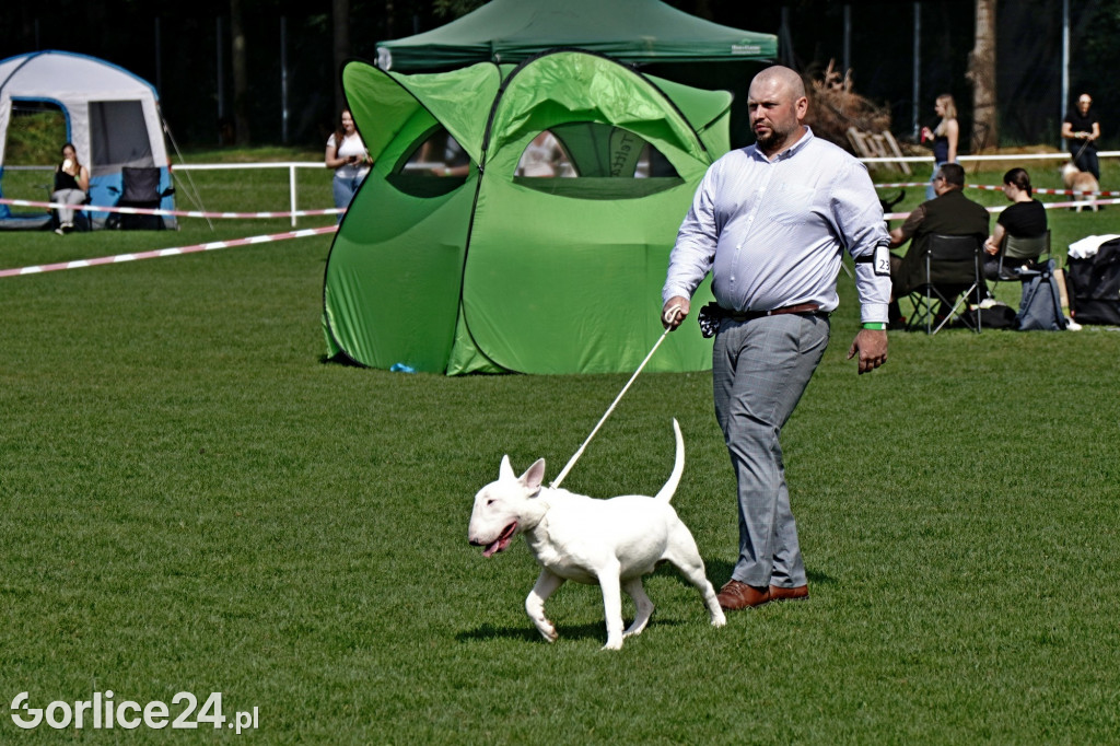 Wystawa Psów Rasowych - Gorlice 2022
