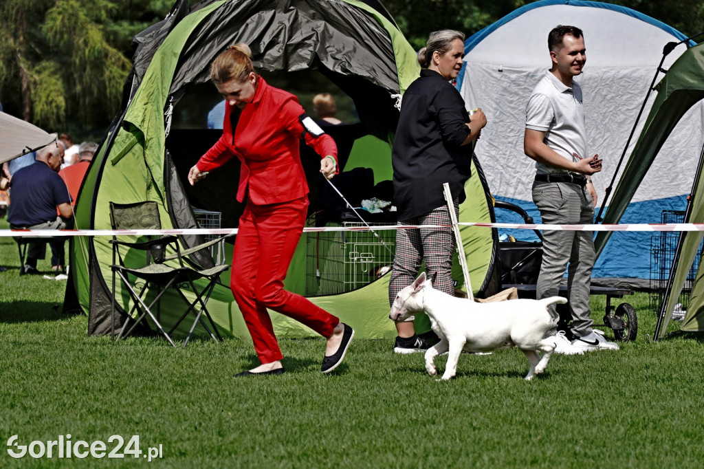 Wystawa Psów Rasowych - Gorlice 2022