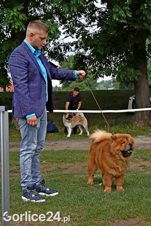 Wystawa Psów Rasowych - Gorlice 2022