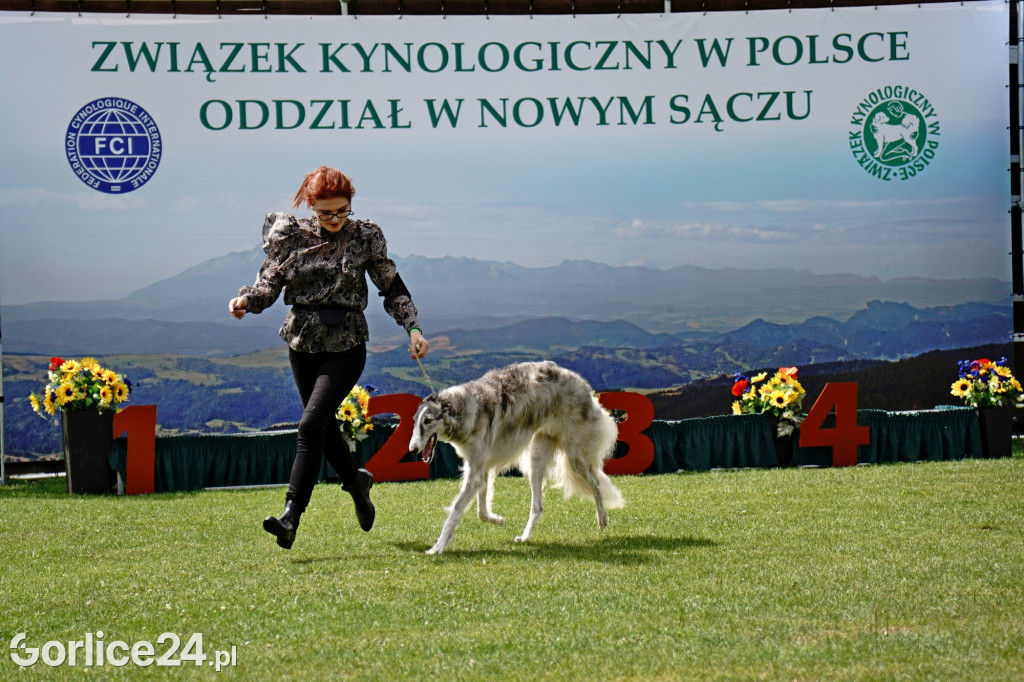 Wystawa Psów Rasowych - Gorlice 2022