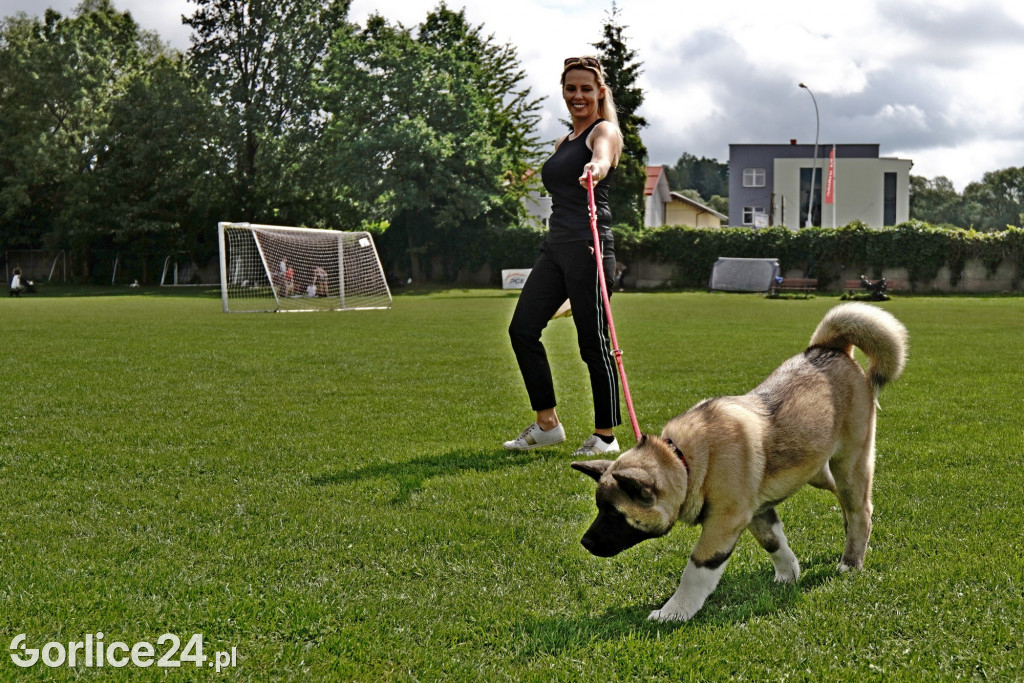 Wystawa Psów Rasowych - Gorlice 2022