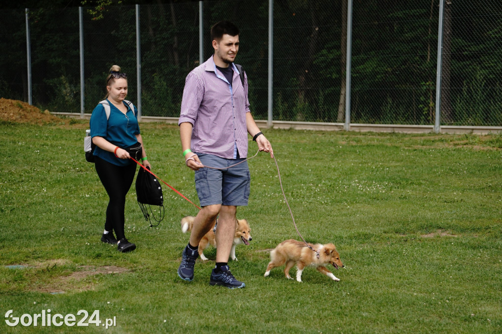 Wystawa Psów Rasowych - Gorlice 2022