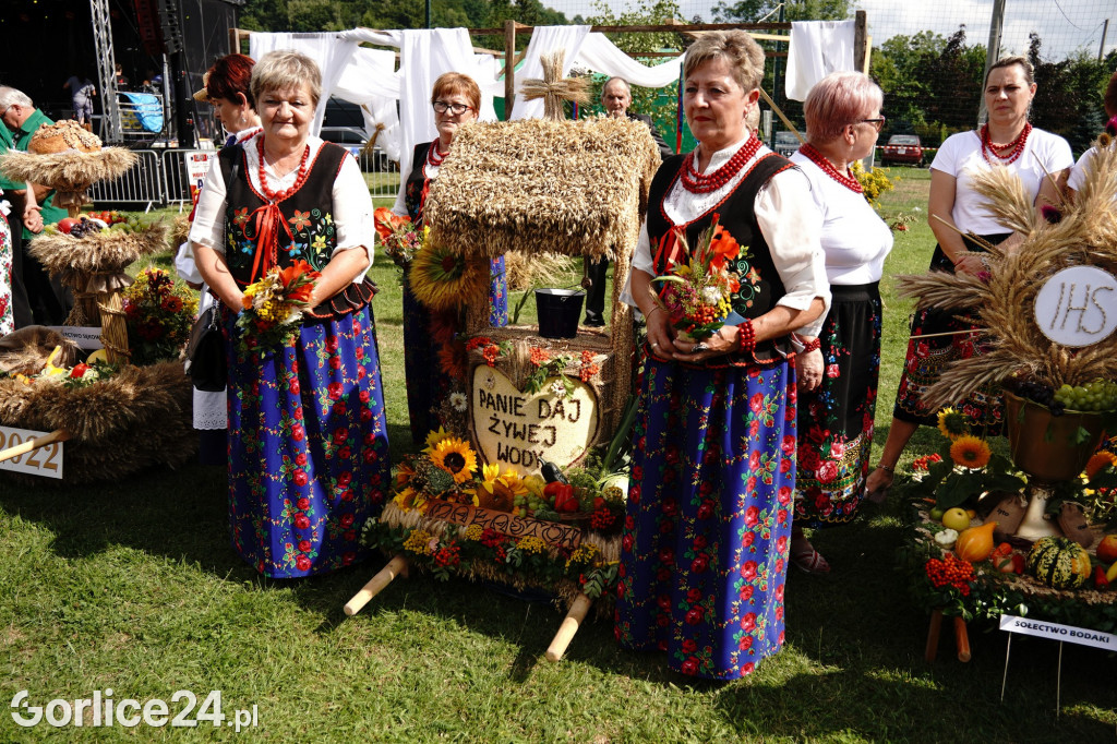 Festiwal Chleba i dożynki Gminy Sękowa 2022