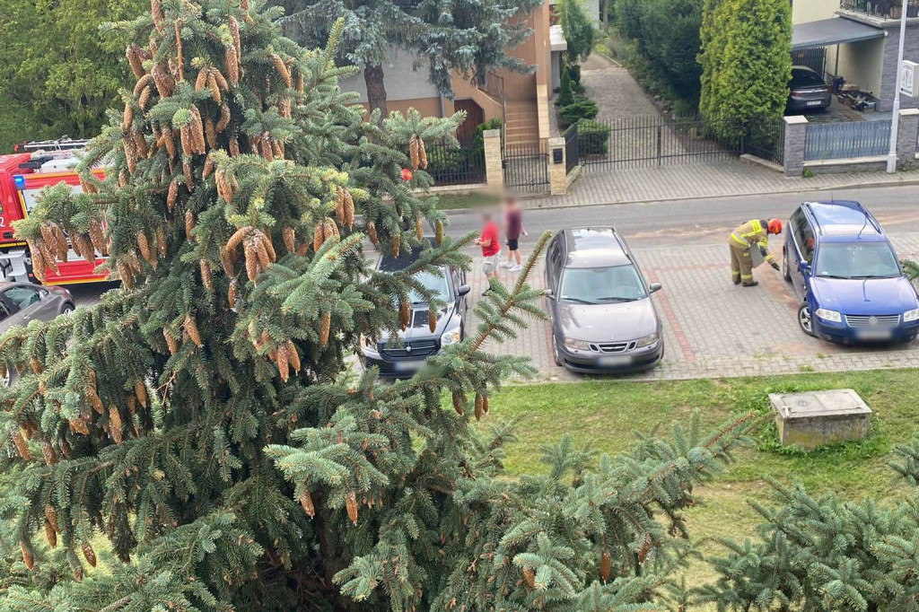 Nowy próg zwalniający na ul. Broniewskiego