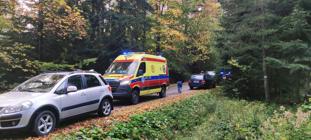 Brunary. Na łuku drogi VW wypadł z drogi