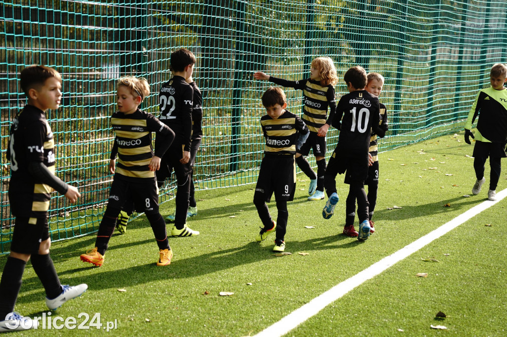 TLC Cup - międzynarodowy turniej młodych piłkarzy
