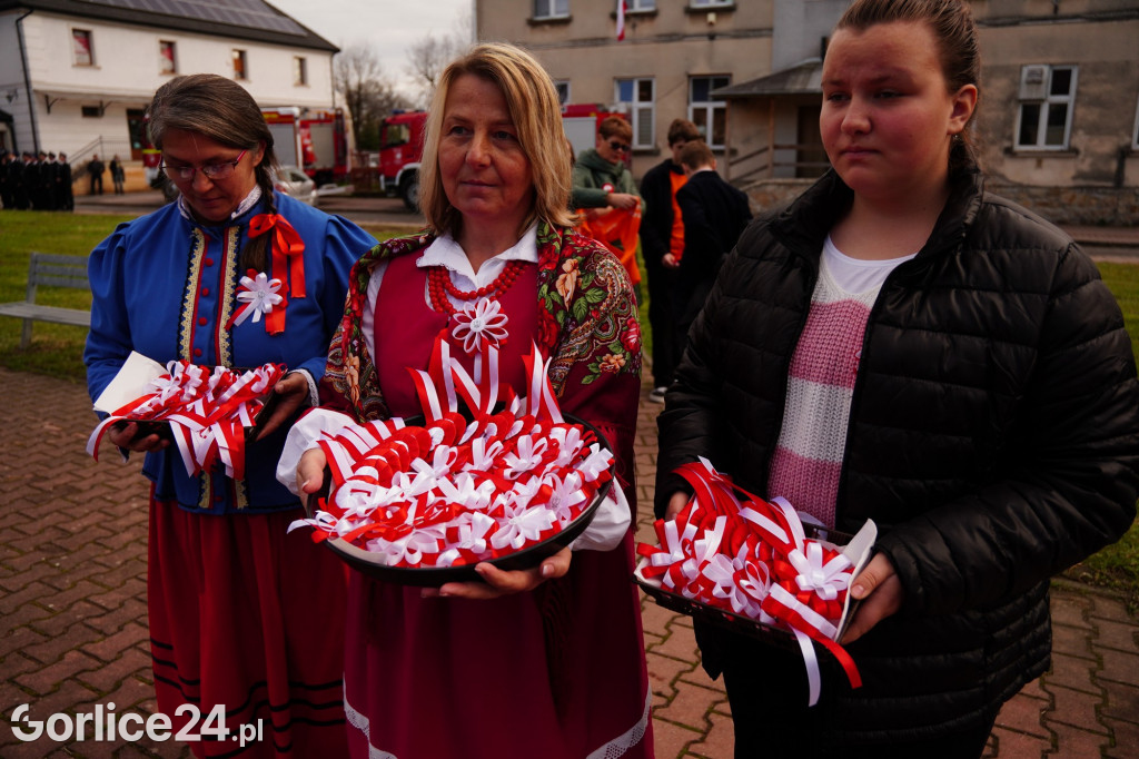 Uroczystości 11 listopada w Łużnej
