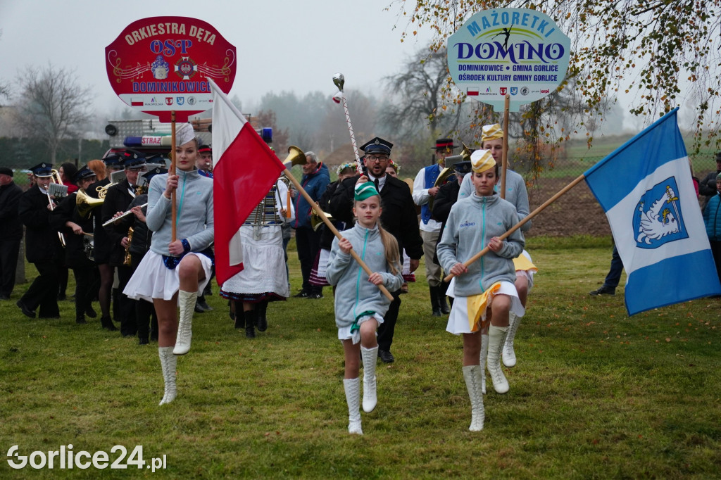 Dominikowice. Na nowym maszcie zawisła flaga