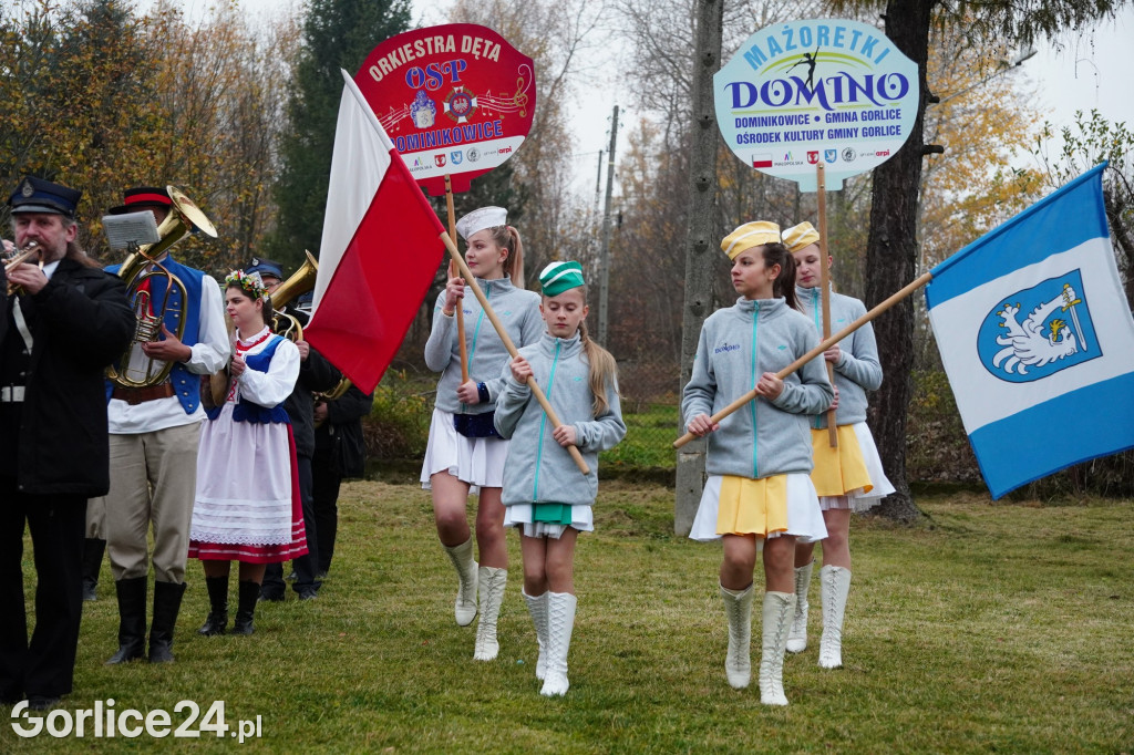Dominikowice. Na nowym maszcie zawisła flaga