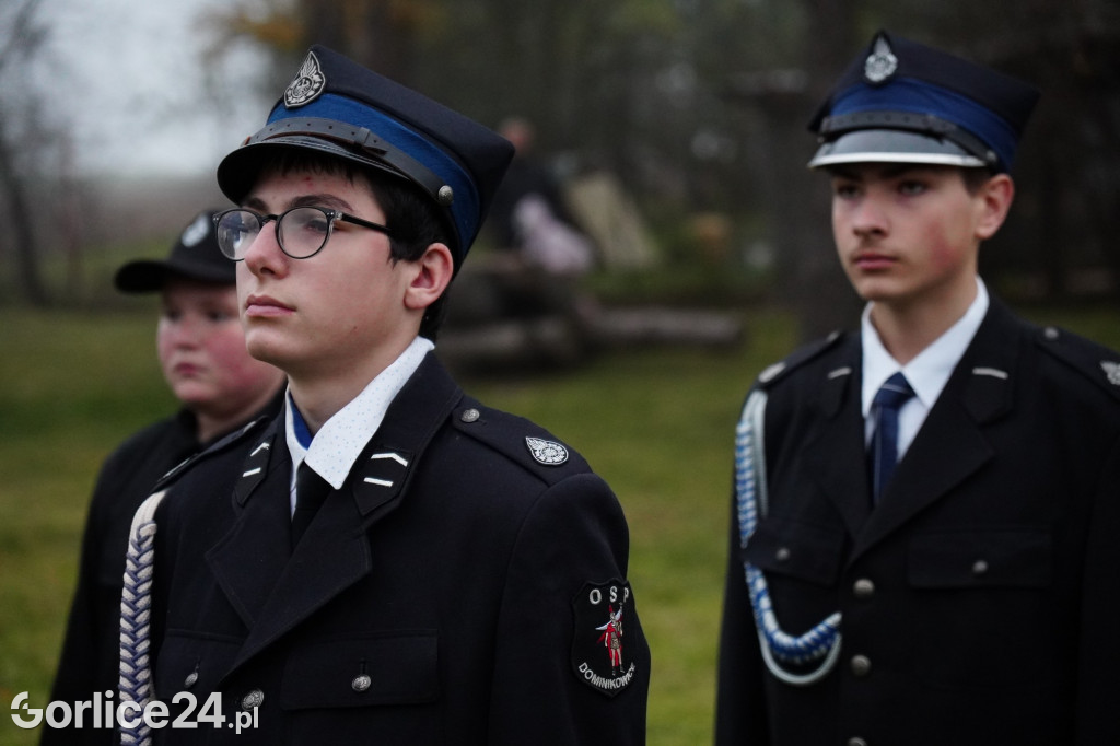 Dominikowice. Na nowym maszcie zawisła flaga