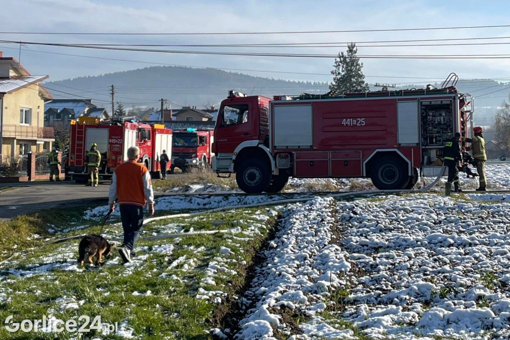 Pożar domu w Dominikowicach 21.11.