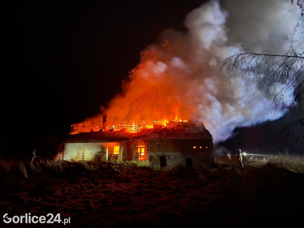 Strzeżyn. Pożar drewnianego domu