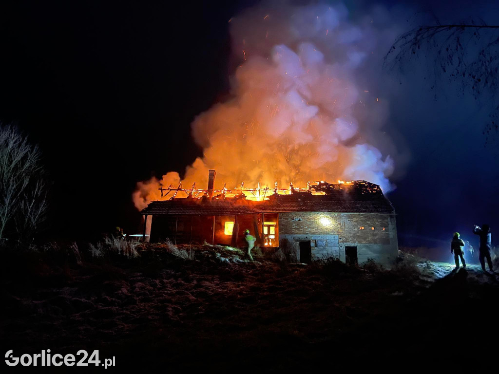 Strzeżyn. Pożar drewnianego domu