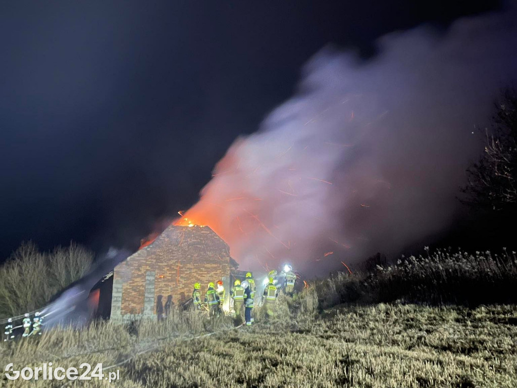 Strzeżyn. Pożar drewnianego domu