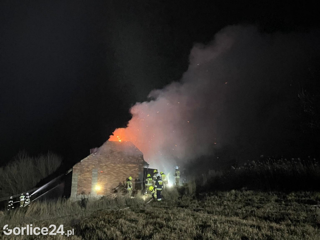 Strzeżyn. Pożar drewnianego domu