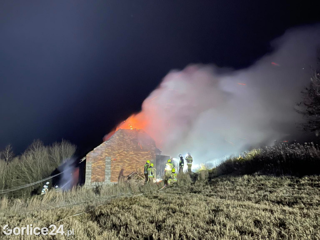 Strzeżyn. Pożar drewnianego domu