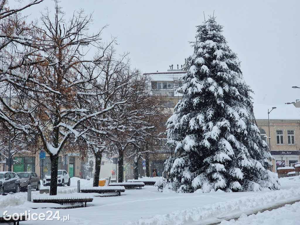 Gorlice zasypane śniegiem (11.12.2022r.)