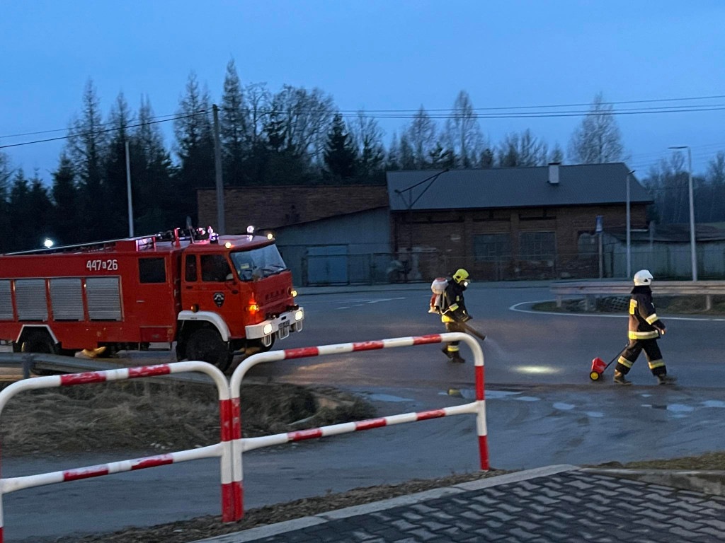 Plama oleju w Lipinkach (17.02)