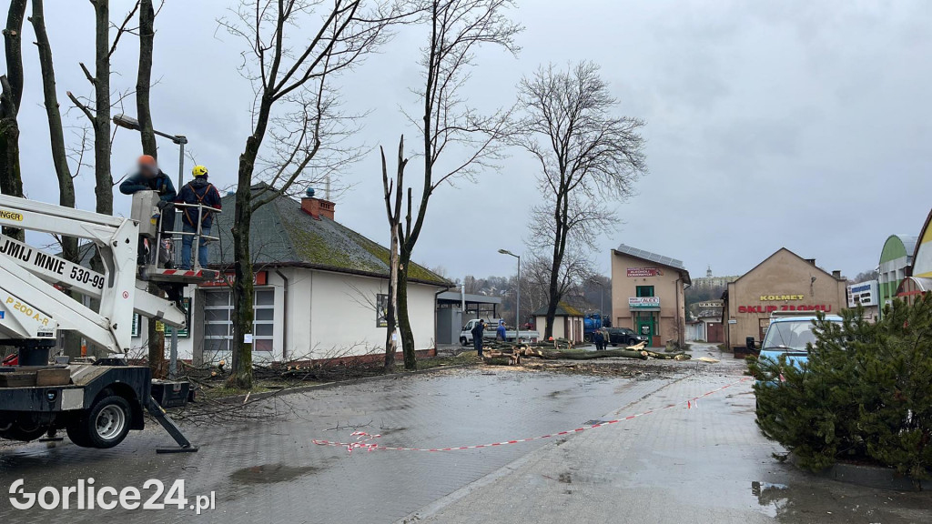 Wycinka drzew przy stacji paliw (19.02.)