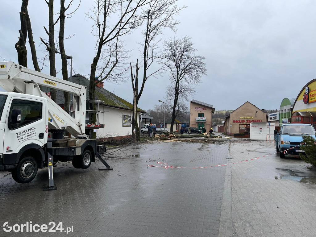 Wycinka drzew przy stacji paliw (19.02.)