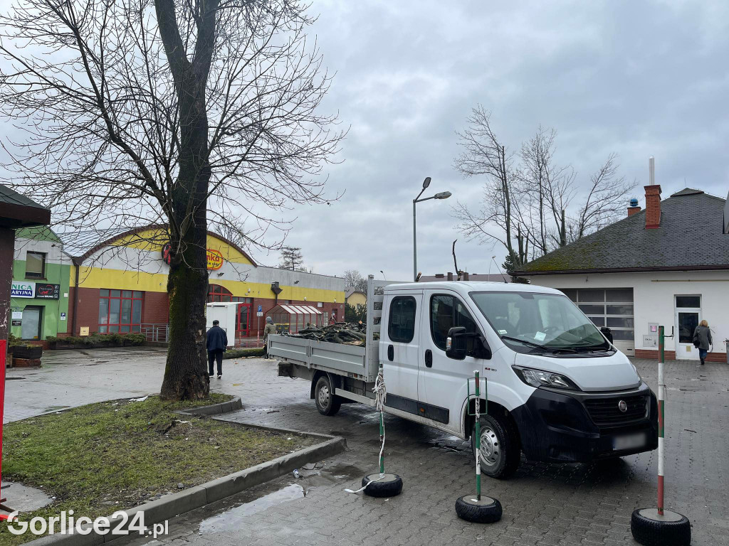 Wycinka drzew przy stacji paliw (19.02.)