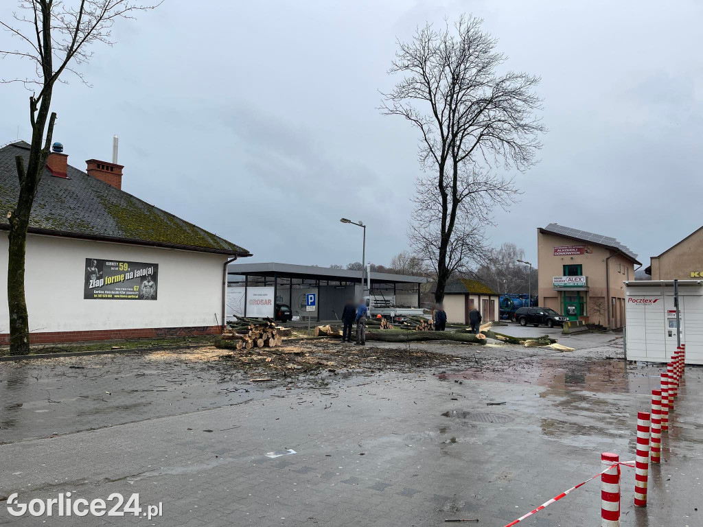 Wycinka drzew przy stacji paliw (19.02.)