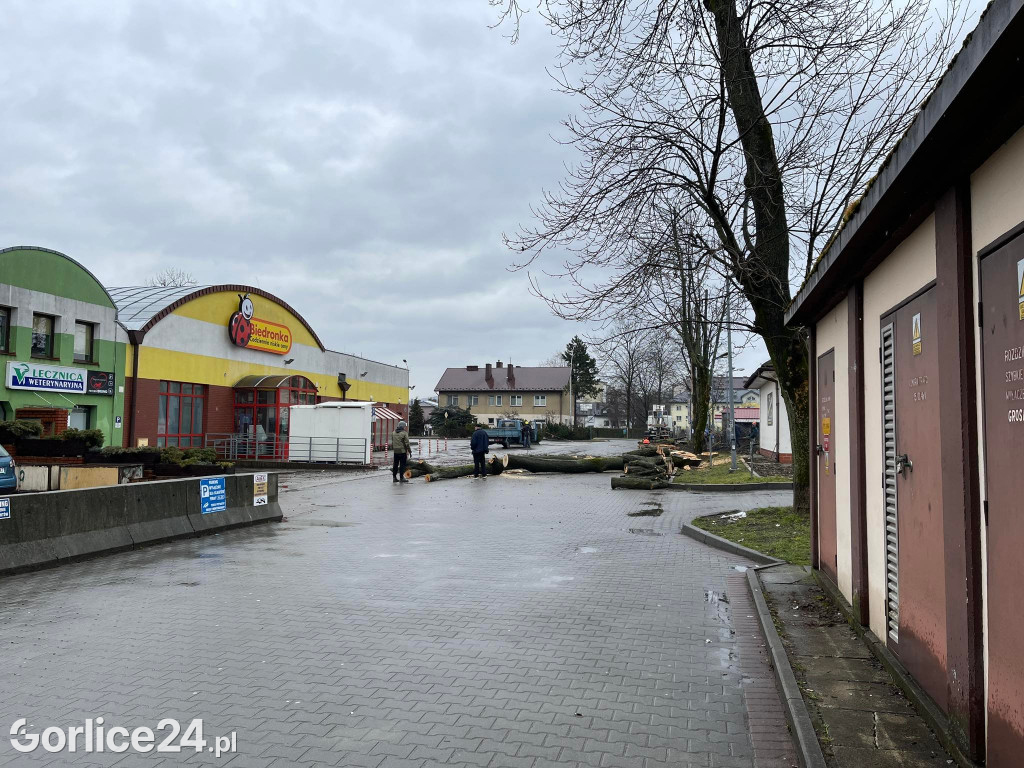 Wycinka drzew przy stacji paliw (19.02.)