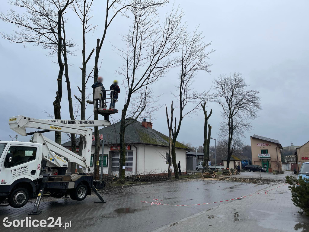 Wycinka drzew przy stacji paliw (19.02.)