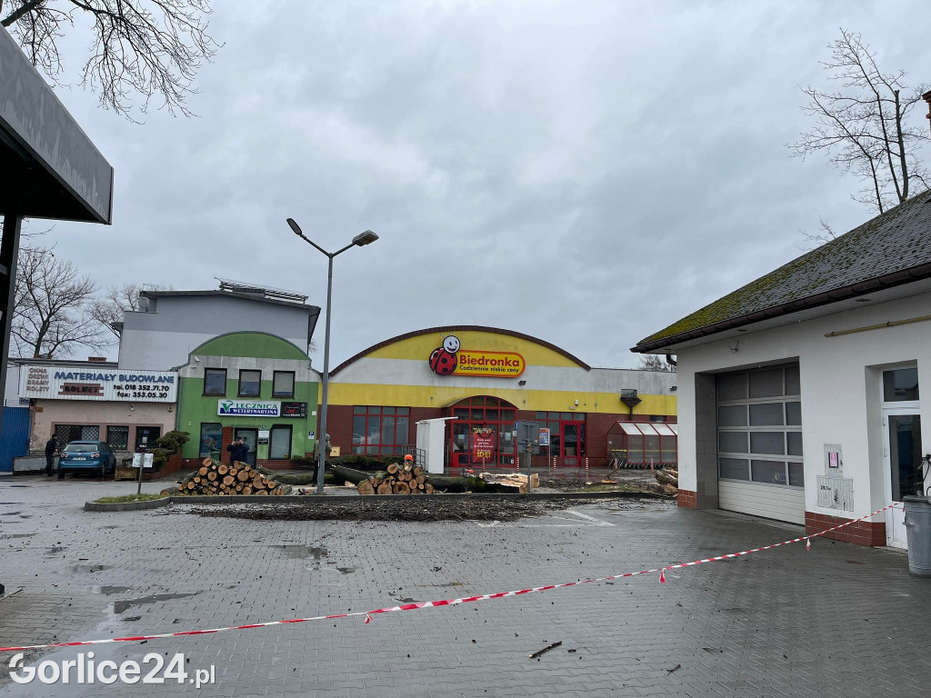 Wycinka drzew przy stacji paliw (19.02.)