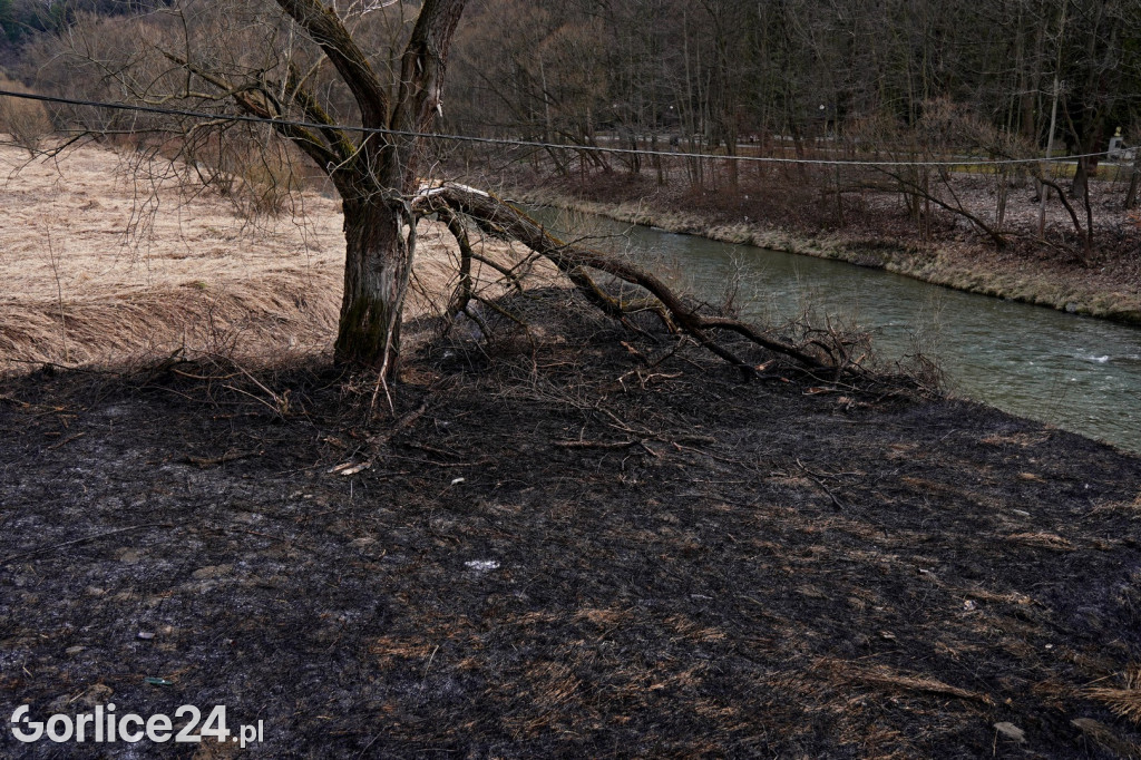 Pożar traw przy ul. Parkowej w Gorlicach (14.03.)