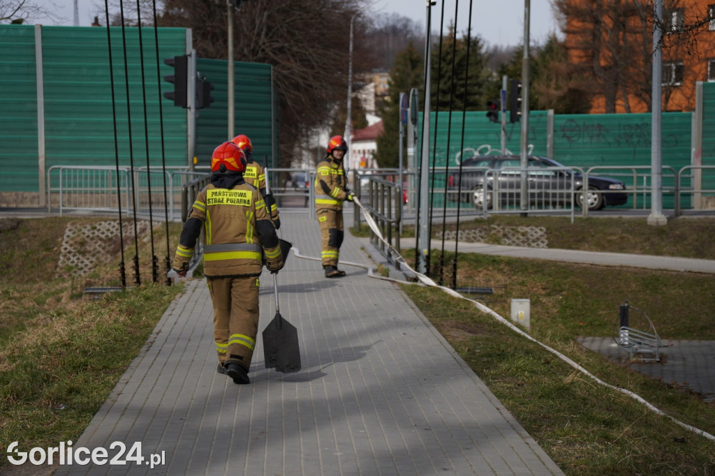 Pożar traw przy ul. Parkowej w Gorlicach (14.03.)