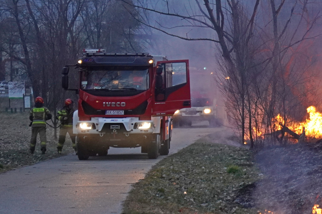 Pożar traw - Gorlice ul. Biecka / Parkowa (14.03.)