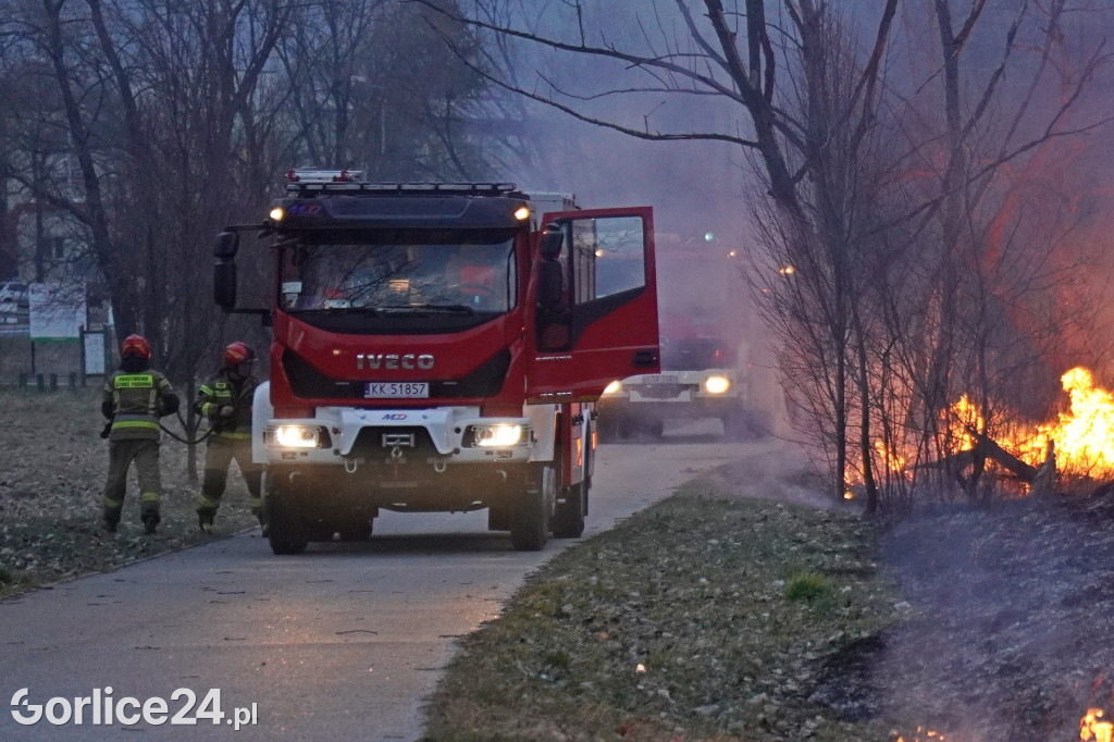 Pożar traw - Gorlice ul. Biecka / Parkowa (14.03.)