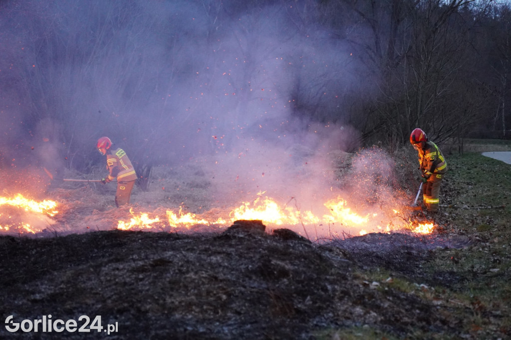 Pożar traw - Gorlice ul. Biecka / Parkowa (14.03.)