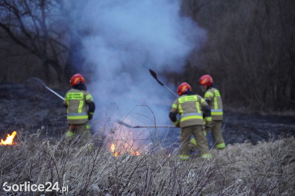 Pożar traw - Gorlice ul. Biecka / Parkowa (14.03.)