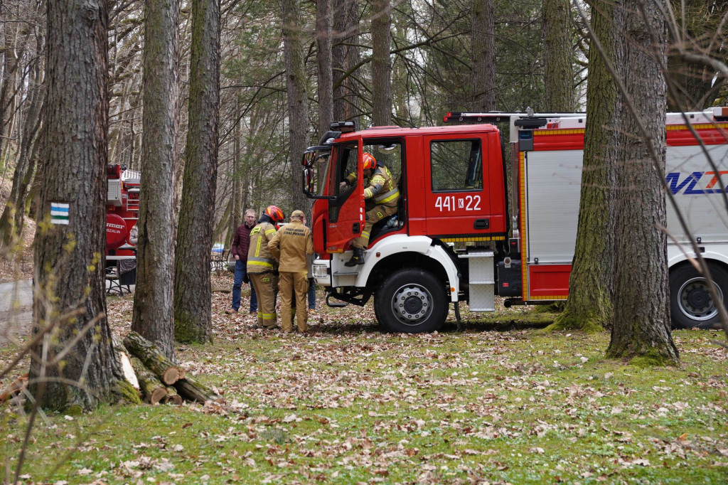 Powalone drzewo w gorlickim parku (22.03.)