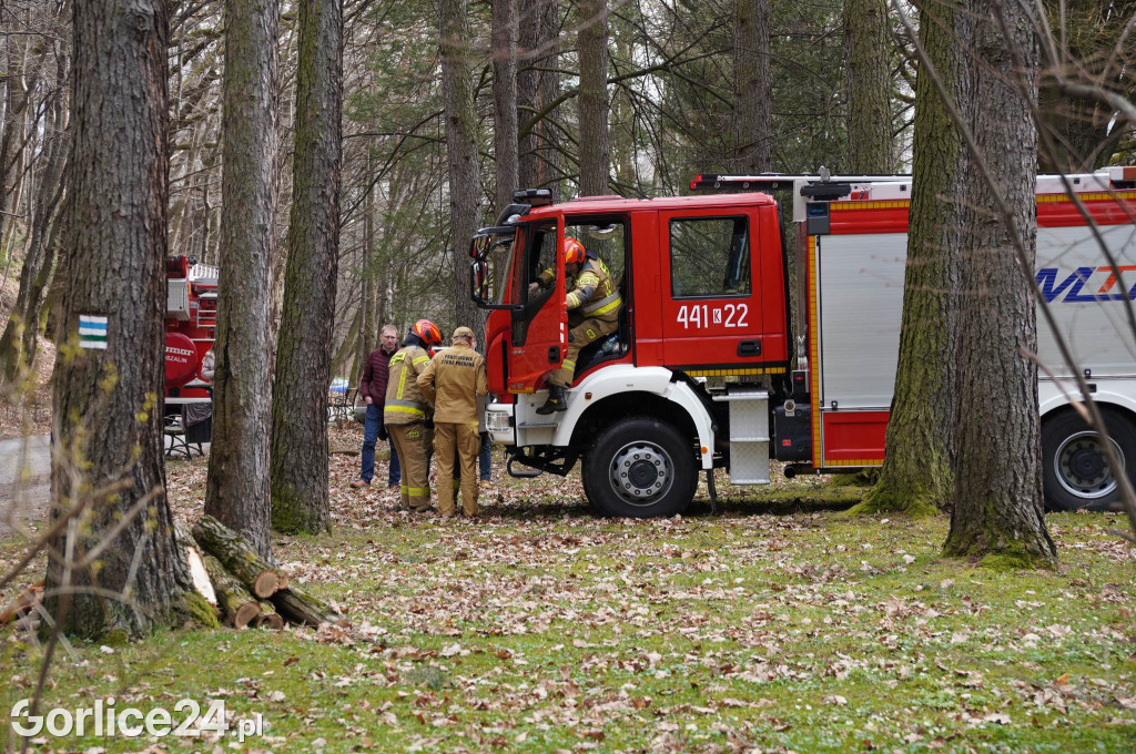 Powalone drzewo w gorlickim parku (22.03.)
