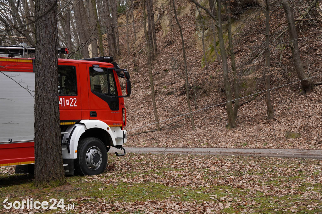 Powalone drzewo w gorlickim parku (22.03.)