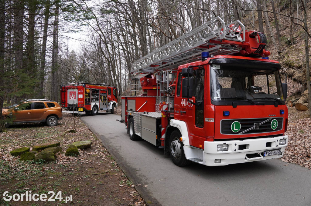 Powalone drzewo w gorlickim parku (22.03.)