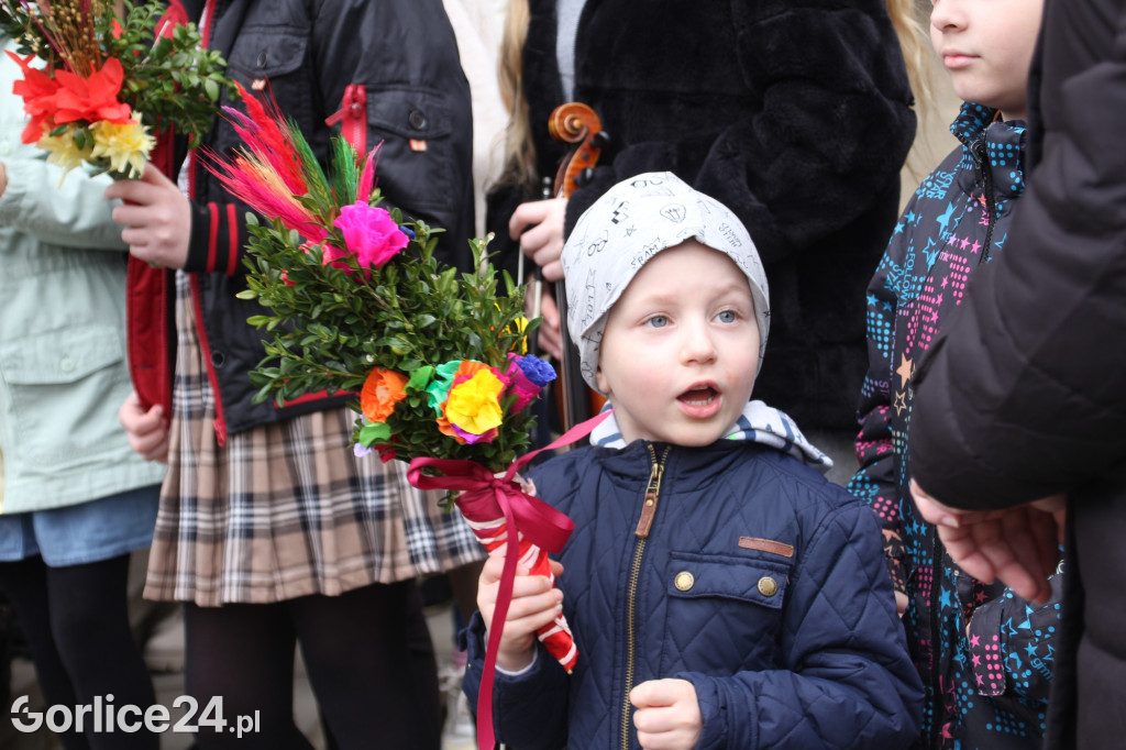 Poświecenie palm i rozstrzygnięcie konkursu w bazylice