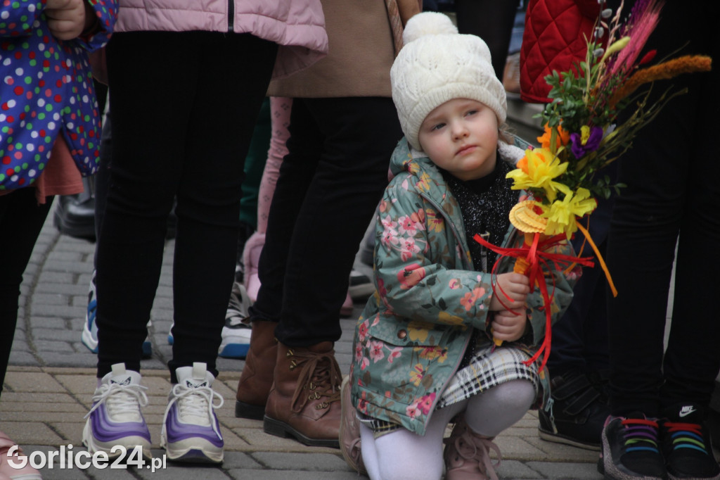 Poświecenie palm i rozstrzygnięcie konkursu w bazylice