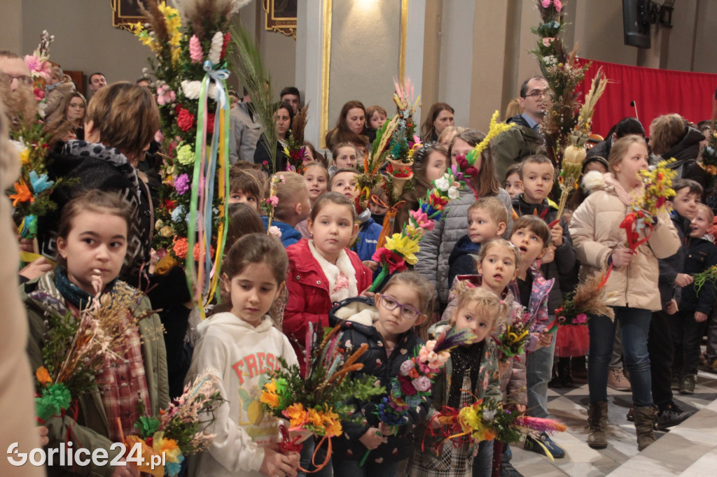 Poświecenie palm i rozstrzygnięcie konkursu w bazylice